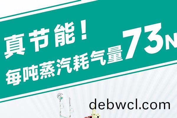 蒸汽發(fā)生器(qi)源(yuan)頭廠(chang)家(jia)直(zhi)銷(xiao)哪(na)家(jia)靠譜？
